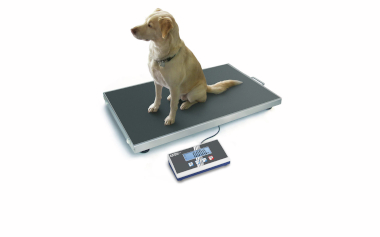 Veterinärplattformwaage