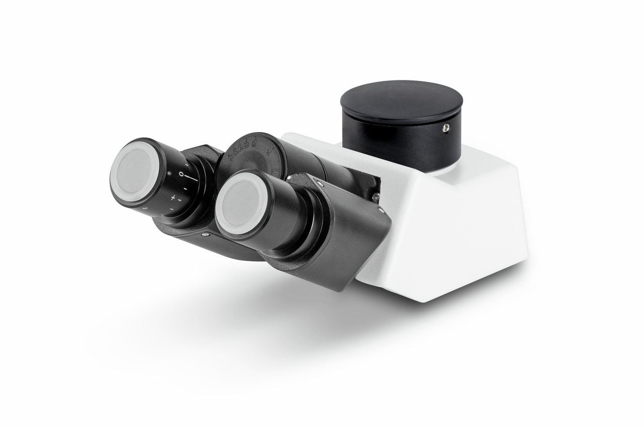 Tubus Trinokular Butterfly. Infinity