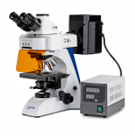 KERN Optics Fluoreszenzmikroskop OBN 148 (Trinokular | 4x / 10x / 20x / 40x / 100x | 20W Halogen (Auflicht
Durchlicht))