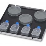 OHAUS KulturPlattform mit Matte, 46 x 46 cm