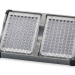 OHAUS Doppelter Mikroplattenhalter