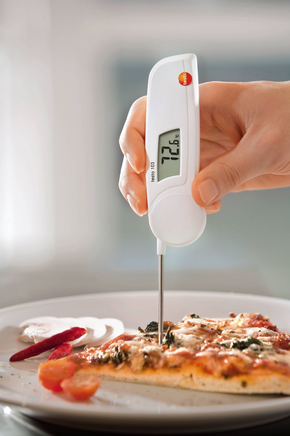 TESTO testo 103 - Einstechthermometer | Art.-Nr.: 0560 0103 2 testo 103 p ap tem 000479 1