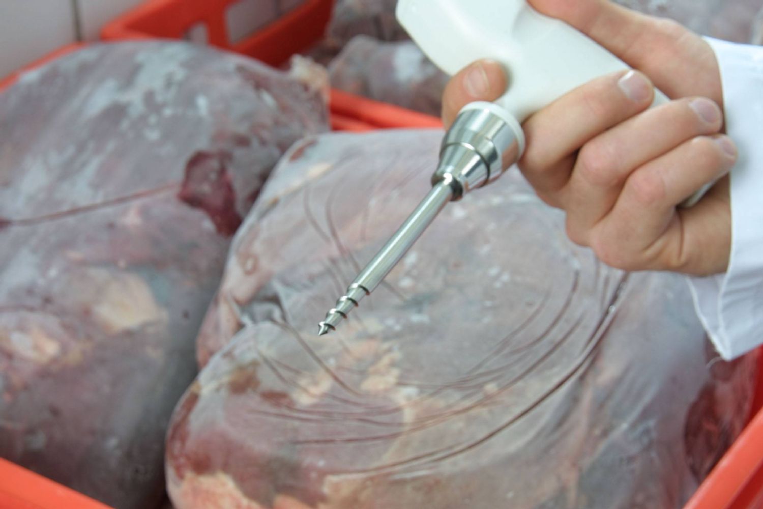 testo 105 application meat 1